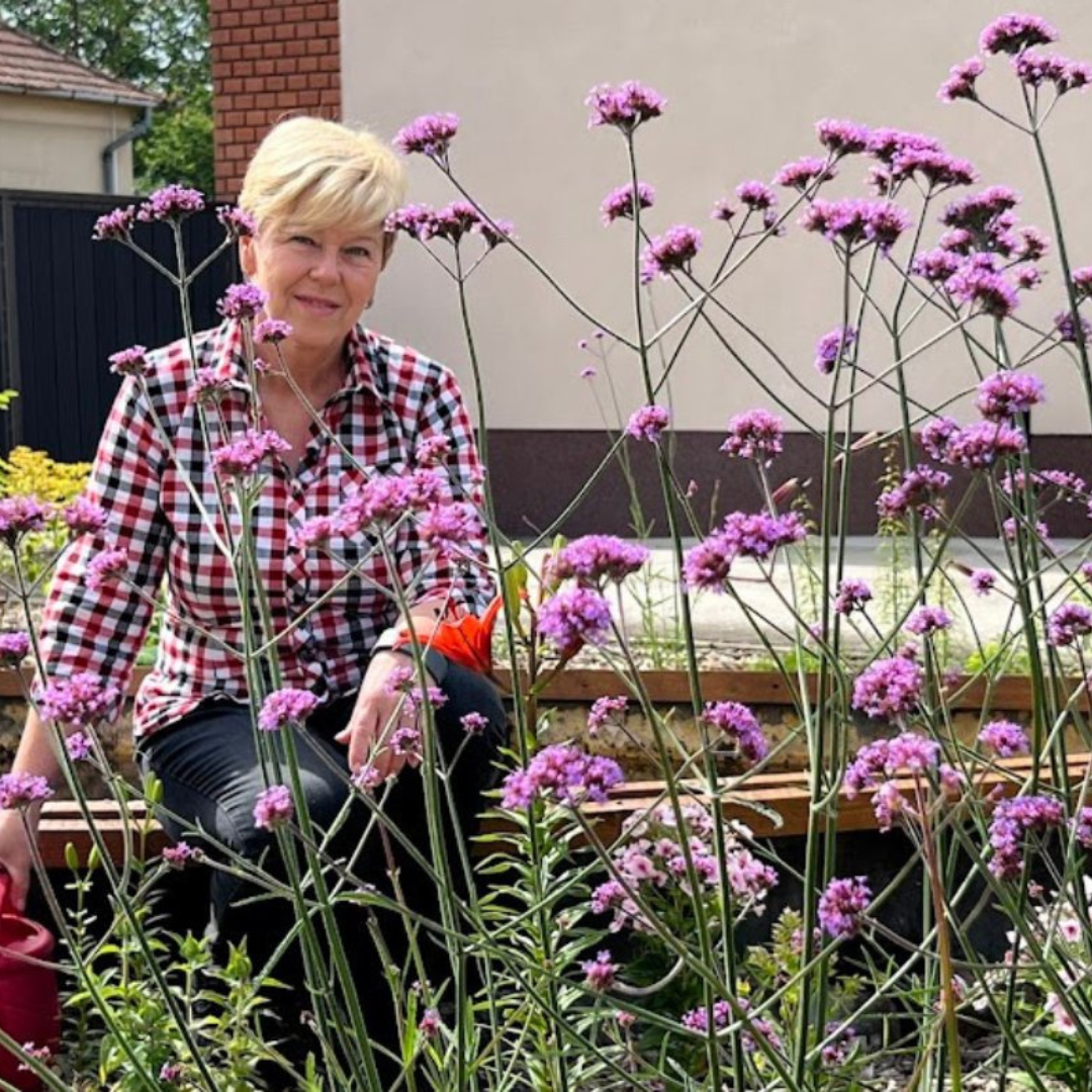 Miért jó a Humin Garden aktív huminsav a növényeknek