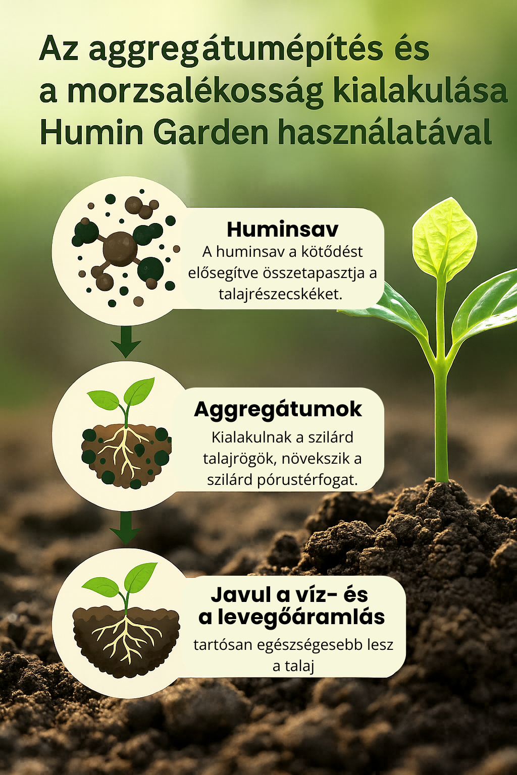 Humin Garden talajjavító hatása